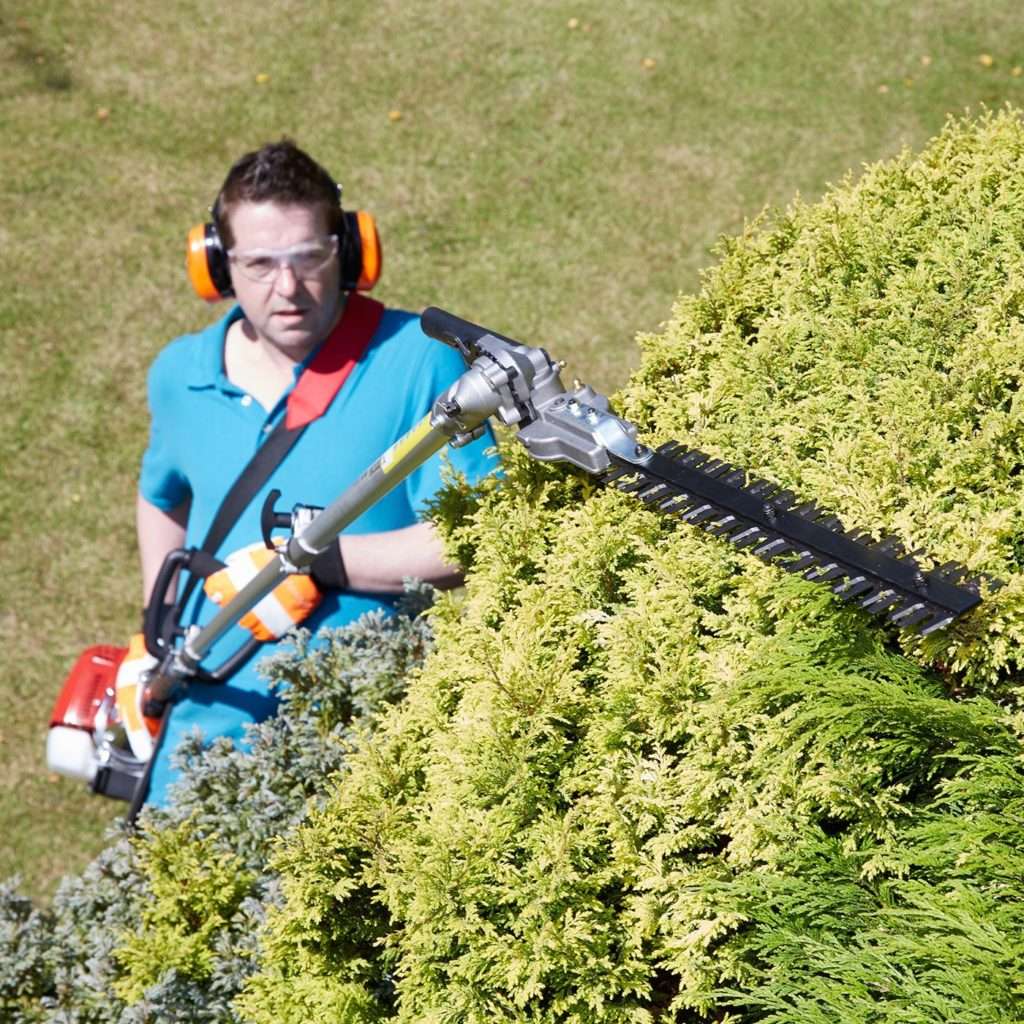 How To Service Petrol Hedge Trimmer at Wayne Hall blog