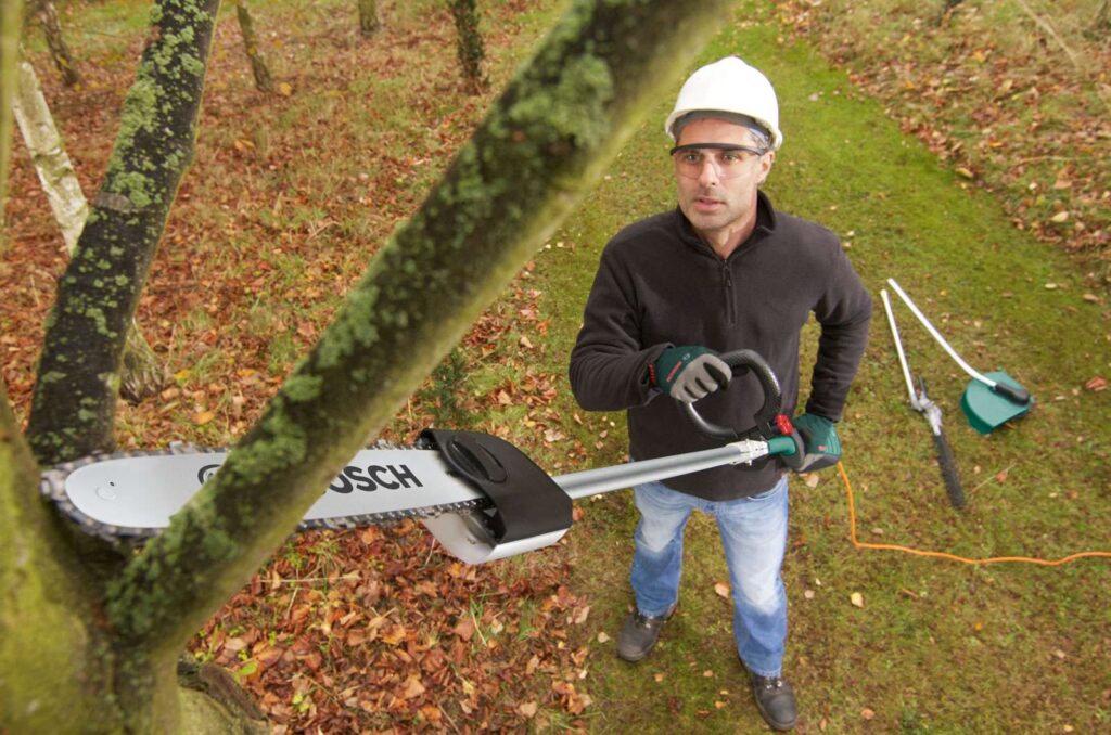 tree surgery