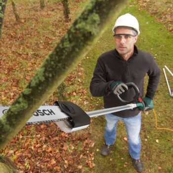 tree surgery