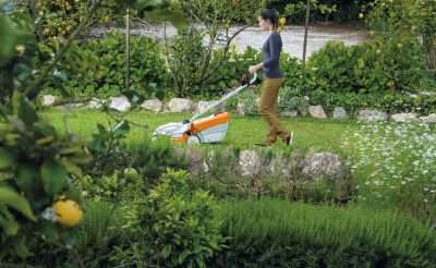 Electric Lawn Mowers - domestic