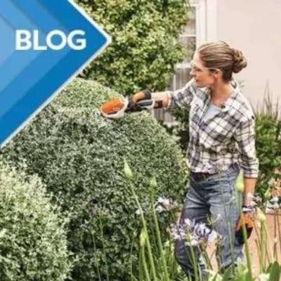 Woman pruning and hedge